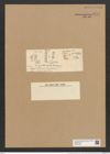 Grammatophora angulosa Ehr. (de-Toni-Nr.: Genus 93, Species 3043) Zeichnungen Sammlung Grunow Nr. 6171 (NHMW-BOT-W0374738)